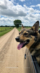 Joyful Dog Enjoys Scenic Drive on Country Road