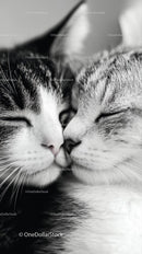 Tender Close-up of Snuggling Cats Displaying Affection