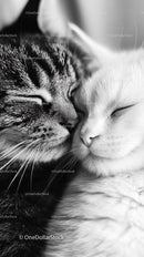 Cuddling Kittens in Monochrome Serenity