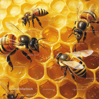 Honey Bees on Golden Honeycomb in Close-Up View