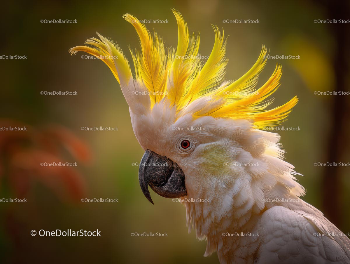Vibrant Yellow Crested Cockatoo in Natural Habitat