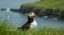 Atlantic Puffin on Coastal Cliff with Ocean View
