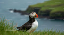 Atlantic Puffin on Coastal Cliff with Ocean Backdrop