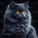 Fluffy Gray Cat with Striking Amber Eyes