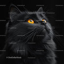 Fluffy Cat with Striking Yellow Eyes in Dark Lighting