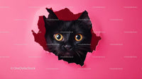 Black Cat Peeking Through Pink Paper with Wide Eyes
