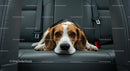 Adorable Beagle Resting in Car Back Seat
