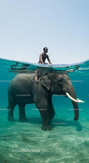 Man Riding Elephant in Tranquil Ocean Waters