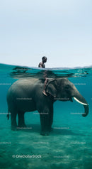 Elephant and Rider Partially Submerged in Tranquil Waters