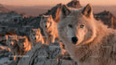 Arctic Wolves in Majestic Mountain Landscape