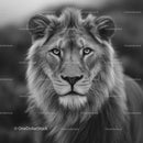 Majestic Lion Portrait in Black and White