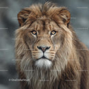 Majestic Lion with Impressive Mane in Closeup Portrait