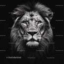 Majestic Lion in Striking Black and White Portrait