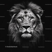 Majestic Lion in Striking Black and White Portrait