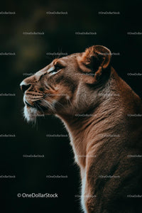 Majestic Lioness in Profile Under Soft Light