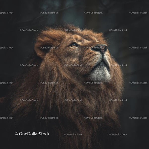 Majestic Lion Profile in Dramatic Lighting