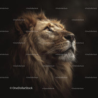 Majestic Lion with a Regal Mane in Profile