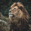 Majestic Lion with Luxurious Mane in Natural Habitat