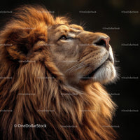 Majestic Lion with Luxurious Brown Mane