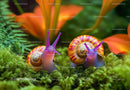 Vibrant Snails on Moss with Orange Flowers