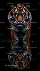 Majestic Tiger Reflected in Tranquil Water