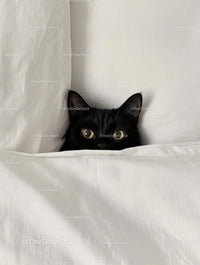 Black Cat Peeking from Under White Sheets in Cozy Bed