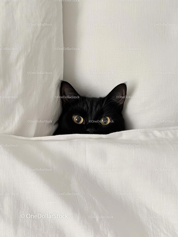 Black Cat Peeking from Under White Sheets in Cozy Bed
