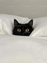 Adorable Black Cat Nestled in White Bedding
