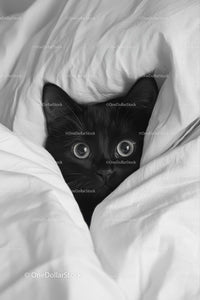 Cozy Black Cat Peeking from Under White Blanket