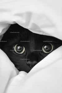 Curious Black Cat Peeking from Underneath Blanket