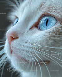 Close-Up of Domestic Cat with Striking Blue Eyes