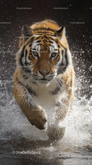 Majestic Tiger Sprinting Through Water with Intensity