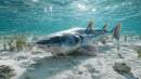 River Catfish in Tranquil Underwater Habitat