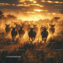 Majestic Antelope Herd at Golden Sunset in the Savannah