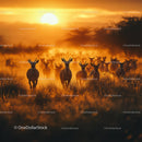 Herd of Antelopes in African Savannah at Sunset