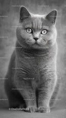 Monochrome Portrait of Graceful British Shorthair Cat