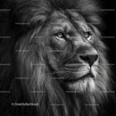 Majestic Lion Portrait in Black and White