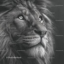 Majestic Lion Portrait in Stunning Monochrome