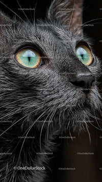 Close-up Portrait of a Black Cat with Striking Green Eyes