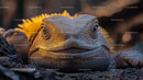 Close-Up of a Bearded Dragon in Vibrant Light