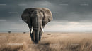 Majestic African Elephant in Serene Savannah Landscape