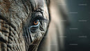 Close-Up of an Elephant's Eye with Textured Skin