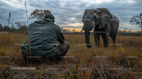 Adventurer Photographing Elephant in Serene Grassland