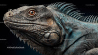 Close-Up Portrait of a Majestic Iguana