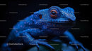 Vibrant Blue Frog with Textured Skin and Striking Eyes