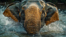 Majestic Asian Elephant Splashing in Water