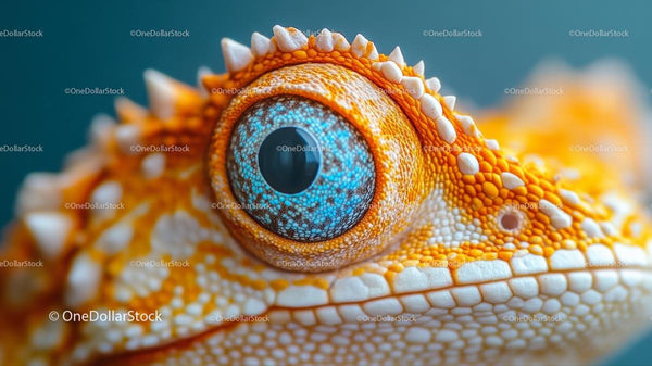 Macro View of Lizard's Vibrant Eye and Scales