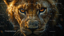 Close-Up of a Majestic Lion in Rainy Wilderness