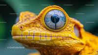 Close-up of a Vibrant Gecko Eye with Detailed Yellow Scales