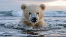 Playful Polar Bear Cub Swimming in Ocean Waves